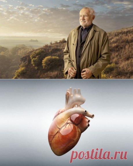 Разные части вашего тела разного возраста | ПолонСил.ру - социальная сеть здоровья