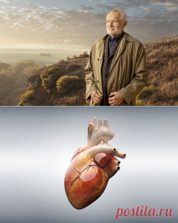 Разные части вашего тела разного возраста | ПолонСил.ру - социальная сеть здоровья