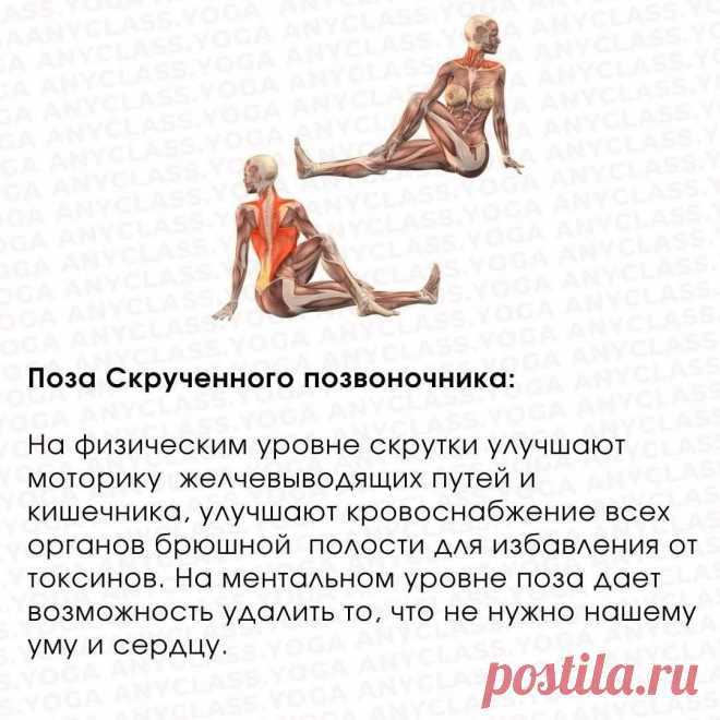 Поза йоги