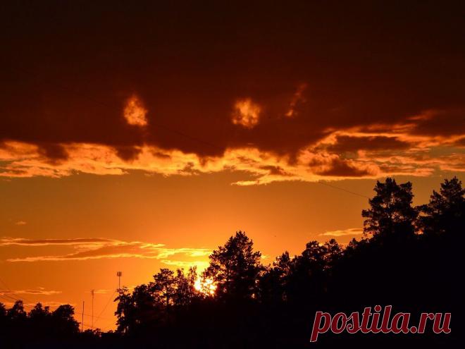 ФОТОМАСТЕРСКАЯ ПРИРОДЫ
Галина Чусовитина