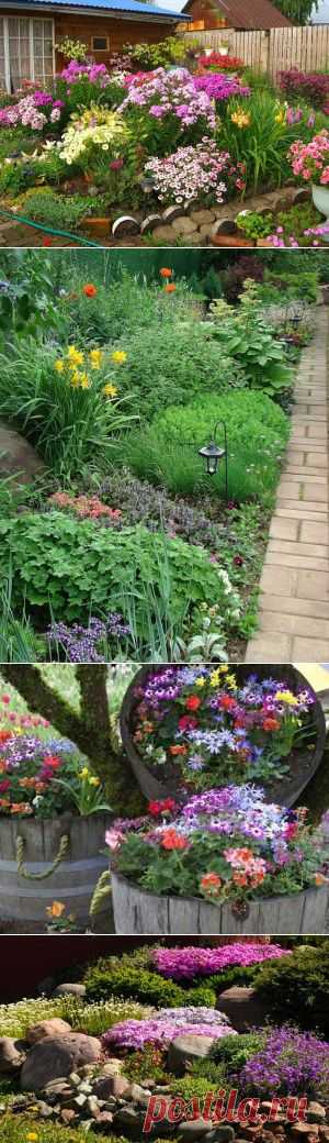 Цветники на даче — 6 соток