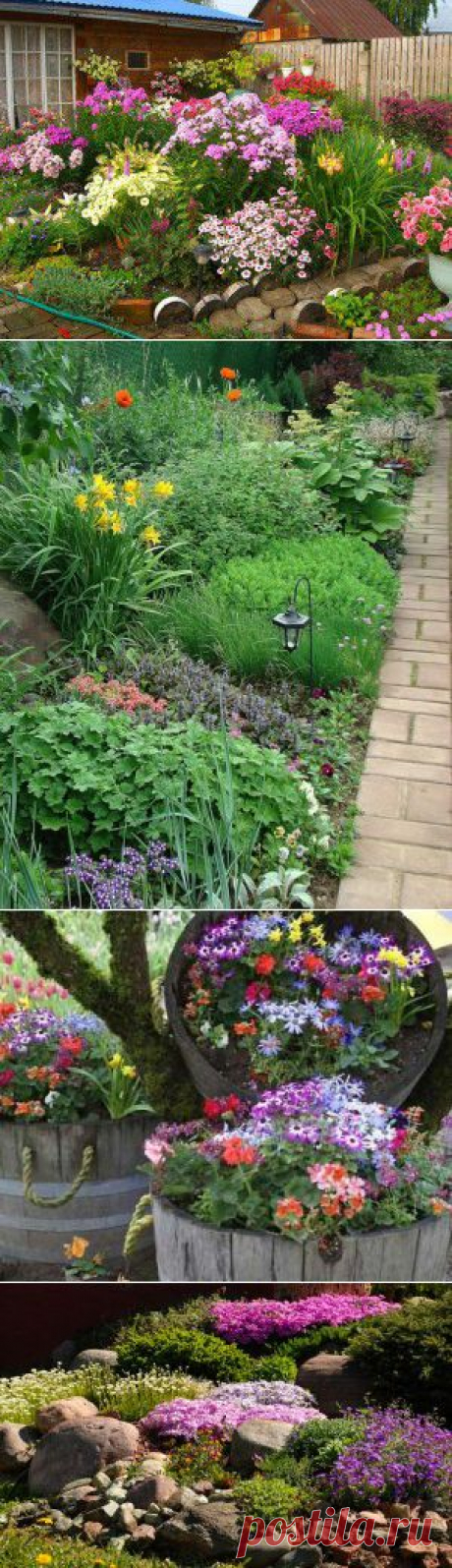 Цветники на даче — 6 соток
