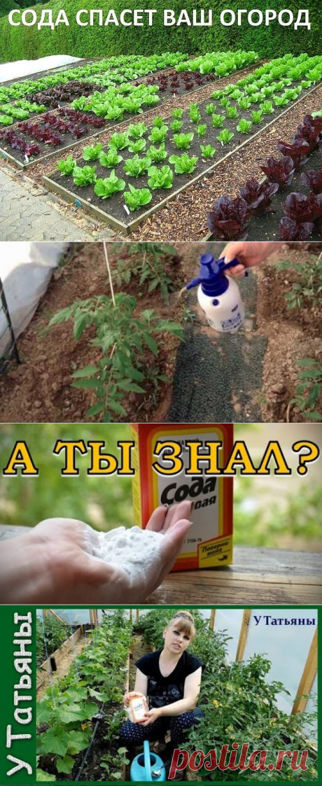 (1) Одноклассники