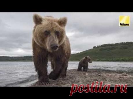 Мастер-класс Сергея Горшкова: съемка с уровня земли