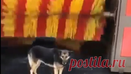 Постоянный клиент ))
