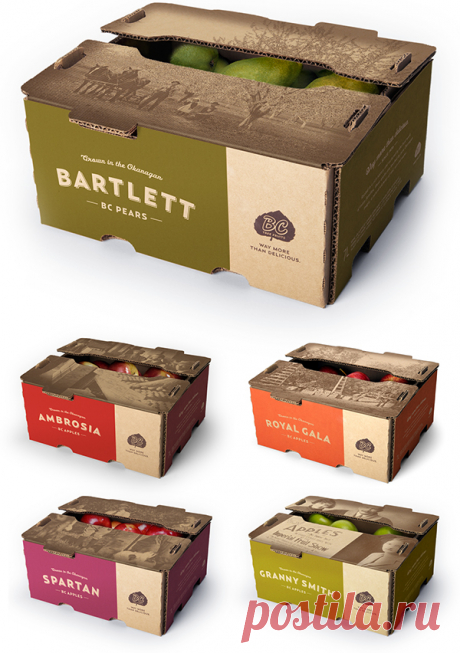 BC Tree Fruit Packaging & ReBrand on Behance