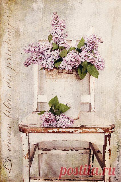 Найдено на сайте thelittlecorner.tumblr.com.