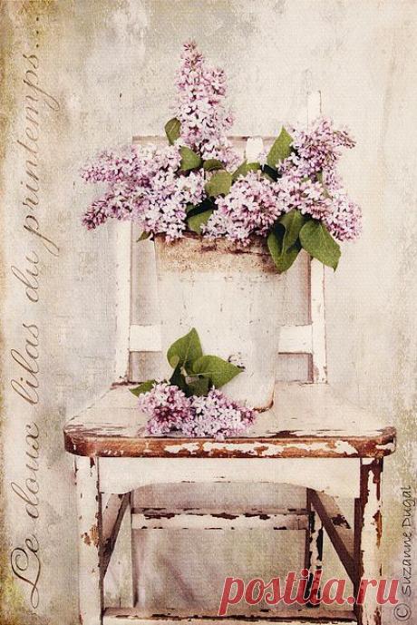 Найдено на сайте thelittlecorner.tumblr.com.