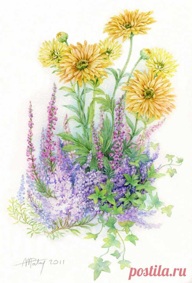 Коллекция картинок: Anne Marie Patry-Belluteau_ Акварели