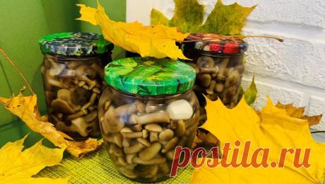 Маринованные опята на зиму – 11 самых вкусных рецептов приготовления