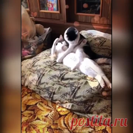 Дверь закрой))