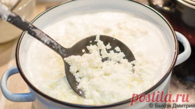 Невероятно! Приготовь дома вкусный и нежный адыгейский сыр. - Страница 3 из 3