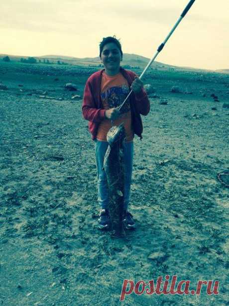 11 кг сом / Богатая добыча