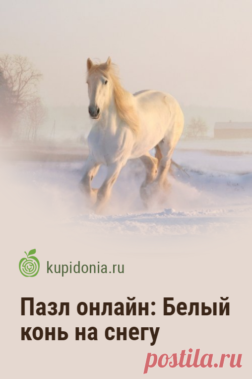Пазл онлайн: Белый конь на снегу. Красивый пазл онлайн с бегущим конем из серий «Лошади», «В мире животных» и «Зимние виды». Собери пазл на сайте!