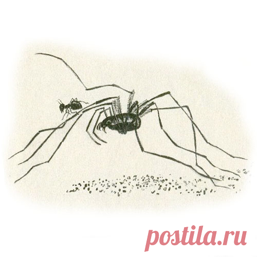ПРИКЛЮЧЕНИЯ МУРАВЬИШКИ