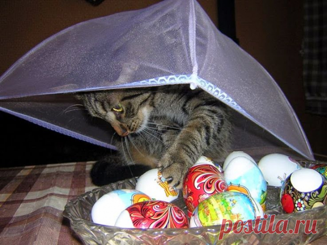 Популярное – Google+