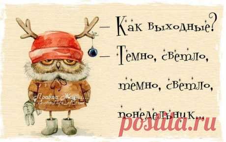 ПОЗИТИВНЫЕ ФРАЗОЧКИ В КАРТИНКАХ