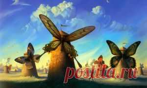 Художник Владимир Куша