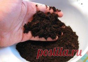 Лучшие удобрения для овощей