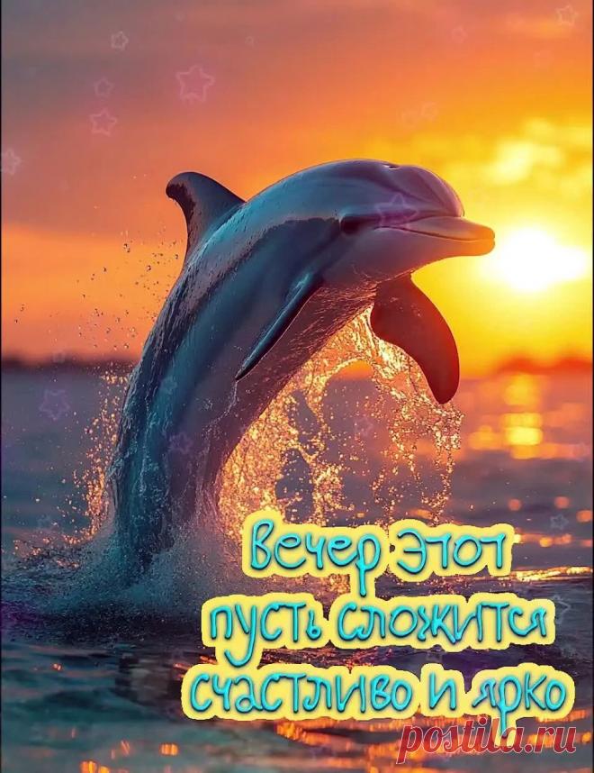 Открытка добрый вечер красивая с закатом и дельфином