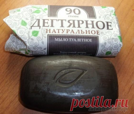 Дегтярное мыло – позаботьтесь о своём здоровье