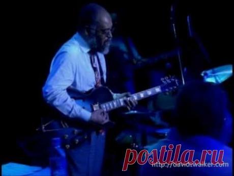 David T. Walker - What's Going On (Live) [Official Video]