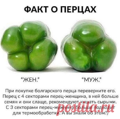 Полезно знать!