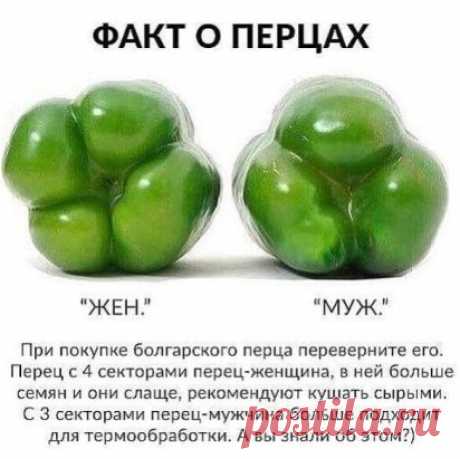 Полезно знать!