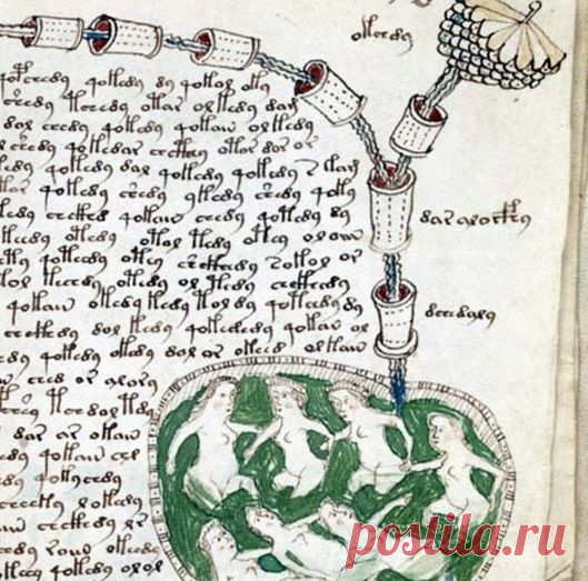 Манускрипт Войнича. Самая загадочная книга в истории