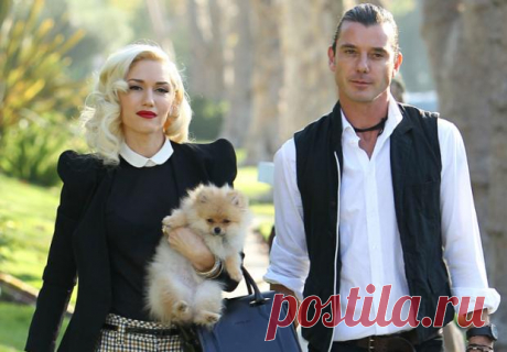 Гвен Стефани: экс-супруг певицы впервые после развода признался другой женщине в любви