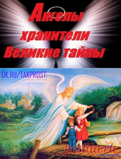 (43) Одноклассники