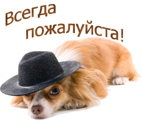 Елена Якимова. "Увезу тебя я в тундру..." Подаркиум.