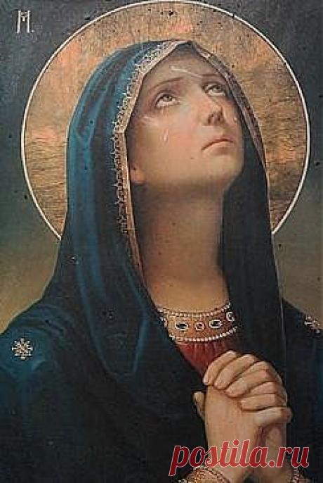 (9) Одноклассники