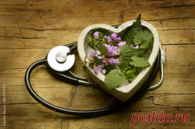 Настои трав для сердца и сосудов продлят вам жизнь