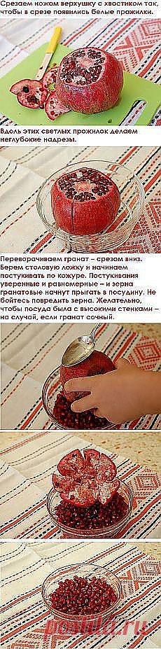 Галина Коваль: Советы | Постила.ru