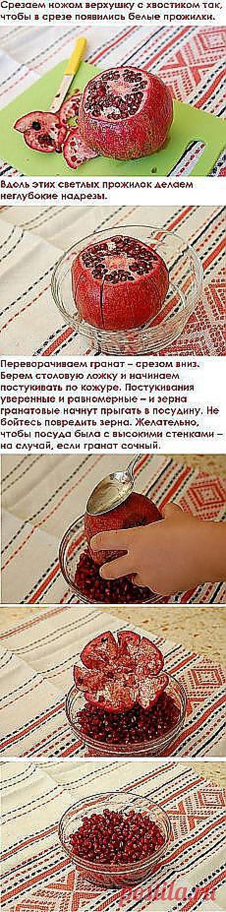 Галина Коваль: Советы | Постила.ru