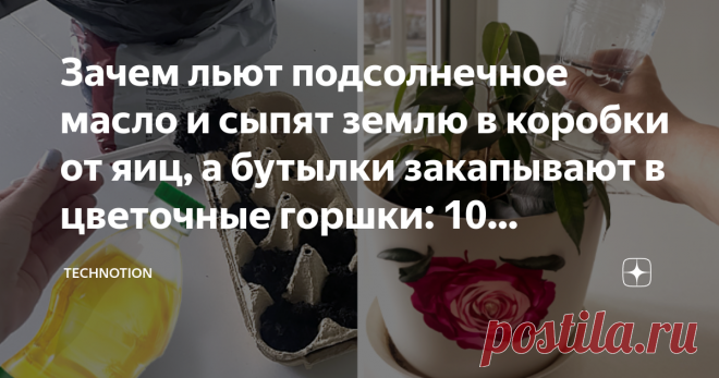 Зачем льют подсолнечное масло и сыпят землю в коробки от яиц, а бутылки закапывают в цветочные горшки: 10 хитростей экономных хозяек Статья автора «TECHNOTION» в Дзене ✍: Лето — сезон отпусков. И недавно моя подруга отправилась в путешествие на пару недель и попросила меня позаботиться о ее кошке.