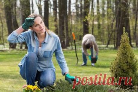 100 ошибок, о которых жалеют дачники – не повторяйте их! | По полочкам (Огород.ru)