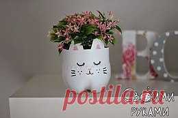 1 новое сообщение