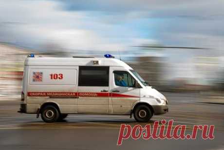 Под Петербургом алабай растерзал свою хозяйку. В Ленинградской области алабай растерзал свою хозяйку и снял с нее скальп. Об этом сообщили «Фонтанке» в экстренных службах. Там уточнили, что женщина получила несовместимые с жизнью травмы. Ее без признаков жизни нашел во дворе дома на улице Железнодорожной собственный сын.