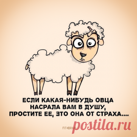 Совет дня.