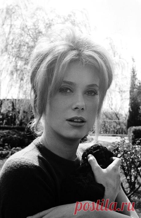 Catherine Deneuve, 1962, photo by Henri Bureau