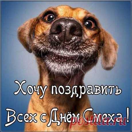 Пусть шутки будут жизни частью,
Значительно её продлят,
Основой станут блага, счастья,
Здоровье сильно укрепят!
Поздравляю я с Днём смеха.
