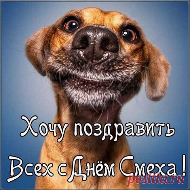 Пусть шутки будут жизни частью,
Значительно её продлят,
Основой станут блага, счастья,
Здоровье сильно укрепят!
Поздравляю я с Днём смеха.