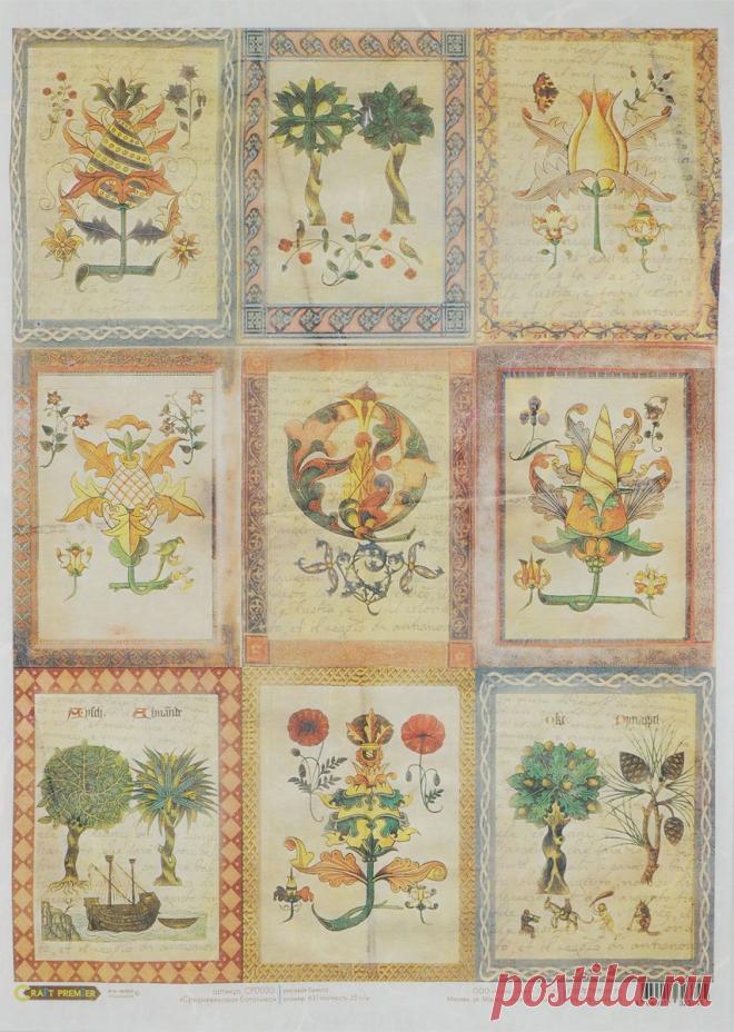 1014559009.jpg (853×1200)