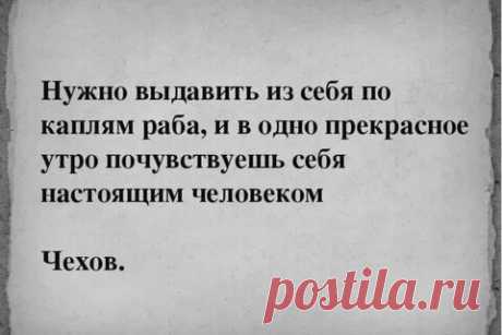 Мы не рабы, рабы НЕМЫ: 1 тыс изображений найдено в Яндекс Картинках