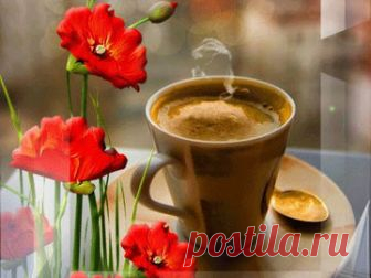 Яндекс.Коллекции