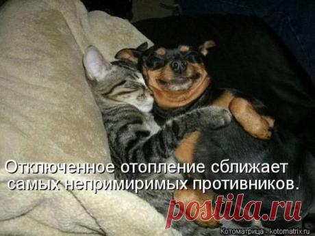 Очередная порция юмора / Болталка / Юмор