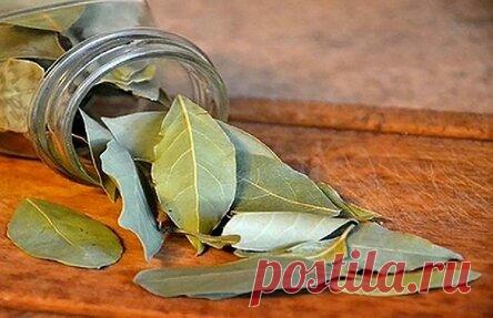 ПОДОЖГИТЕ ОБЫЧНЫЙ ЛАВРОВЫЙ ЛИСТ В ДОМЕ И ЧЕРЕЗ 10 МИНУТ БУДЕТЕ ПРИЯТНО УДИВЛЕНЫ! ФЕНОМЕНАЛЬНО!