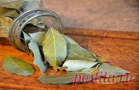 ПОДОЖГИТЕ ОБЫЧНЫЙ ЛАВРОВЫЙ ЛИСТ В ДОМЕ И ЧЕРЕЗ 10 МИНУТ БУДЕТЕ ПРИЯТНО УДИВЛЕНЫ! ФЕНОМЕНАЛЬНО!